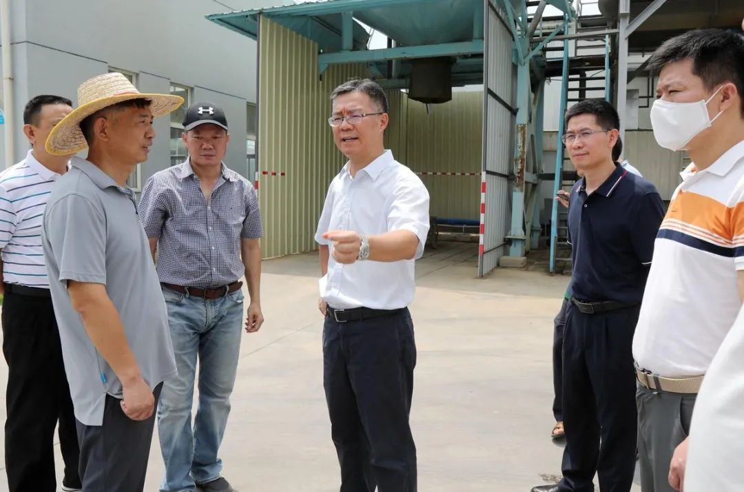 綠潤新聞 | 金灣區(qū)委書記帶隊(duì)考察，三灶項(xiàng)目再獲認(rèn)可